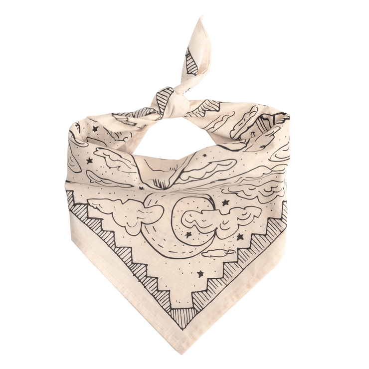 No. 068 Desert Bandana