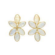 Splendid Shell Drop Earrings