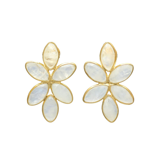 Splendid Shell Drop Earrings