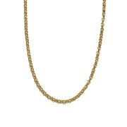 Gold Rolo Chain