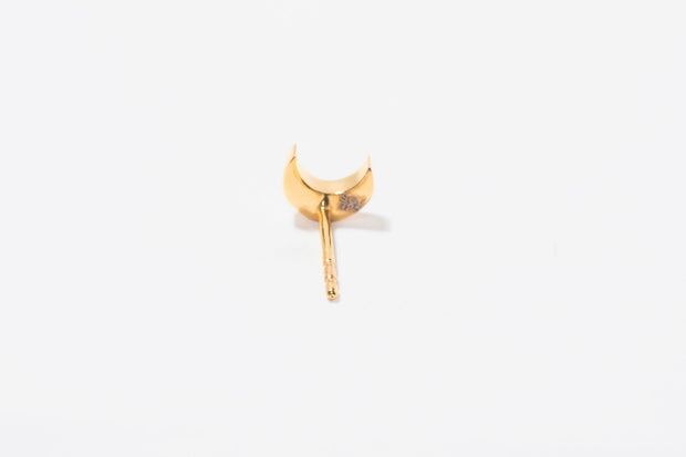 Neoma Gold Vermeil Stud Earrings