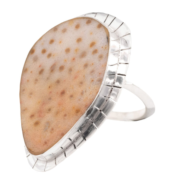 Petrified Palm Tidepool Ring