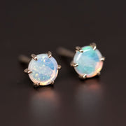 Round Shaped Six Prong Australian Solid Opal Stud Earrings 14K Yellow Gold