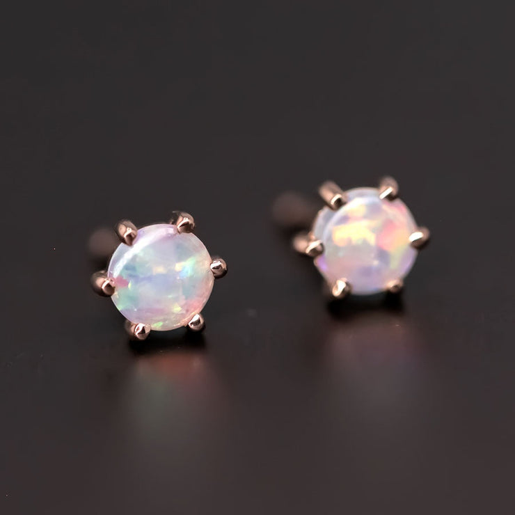 Round Six Prong Australian Solid Opal Stud Earrings 14K Rose Gold