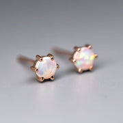Round Six Prong Australian Solid Opal Stud Earrings 14K Rose Gold