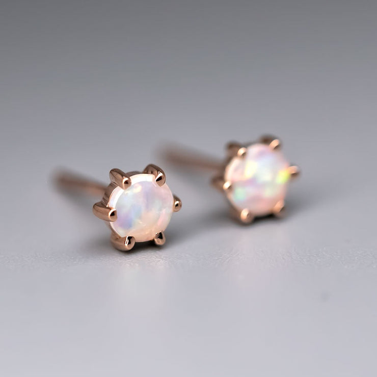 Round Six Prong Australian Solid Opal Stud Earrings 14K Rose Gold
