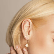 Star Studs