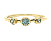 Cerberus - Montana Sapphire Ring
